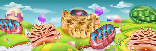 Logo_EMBO_Workshop_translocation_2024